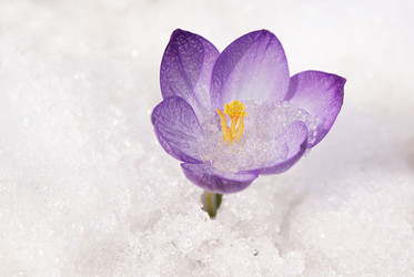 Similar image 137600