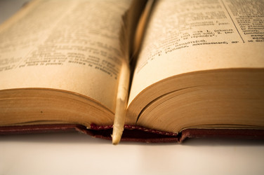 Similar image 137642