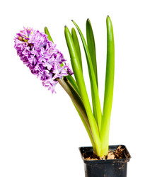 Similar image 137660