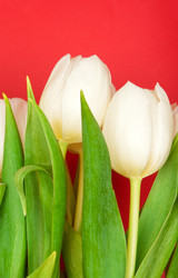 Similar image 137672