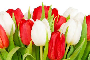 Similar image 137675