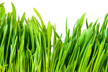 Similar image 137706