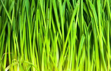 Similar image 137707