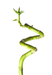 Similar image 137716