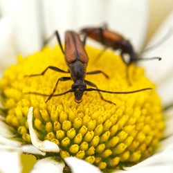 Similar image 137730