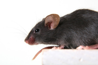 Similar image 137745