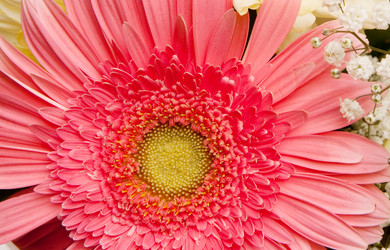 Similar image 137762