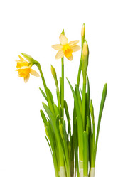 Similar image 137792