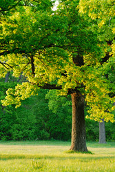 Similar image 137822