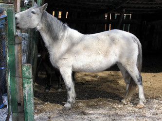 Similar image 137834