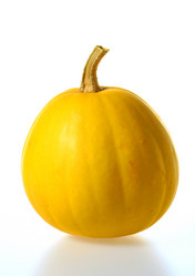 Similar image 137839