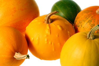 Similar image 137842