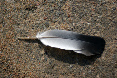 Similar image 137861