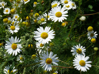 Similar image 137865