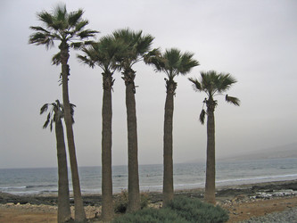 Similar image 137888