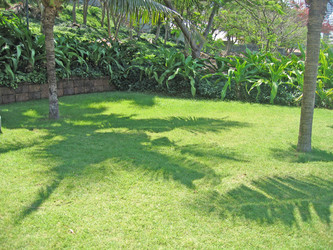 Similar image 137930