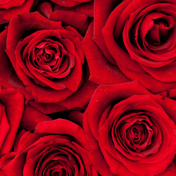 Similar image 137946