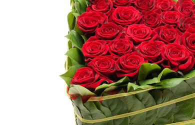 Similar image 137949