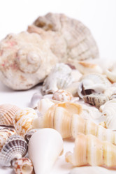 Similar image 137980