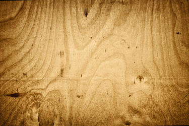 Similar image 138035