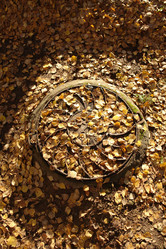 Similar image 138042