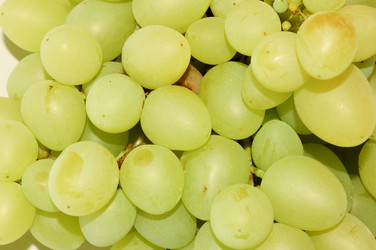 Similar image 138050