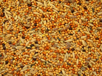 Similar image 138053