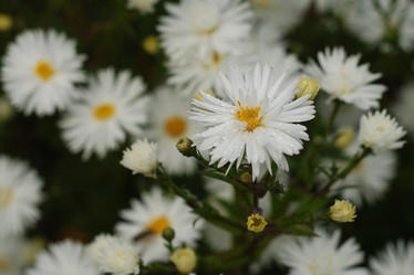 Similar image 138109