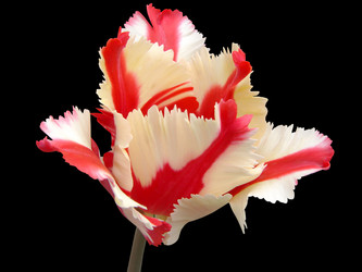 Similar image 138119