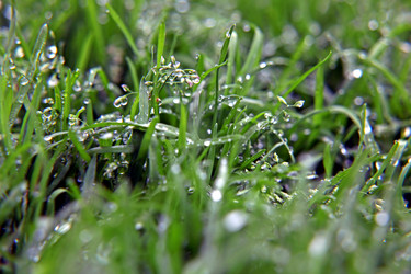 Similar image 138122