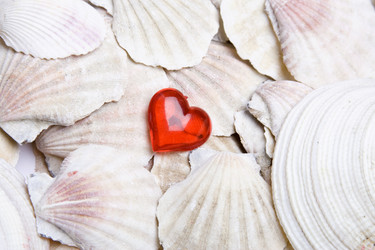 Similar image 138138