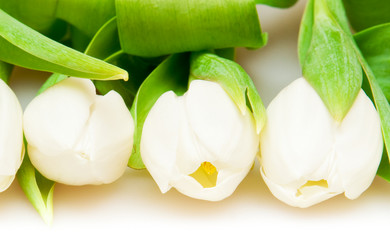 Similar image 138139