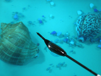 Similar image 138146