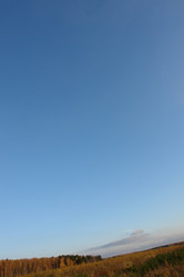 Similar image 138161