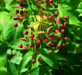 Similar image 138177