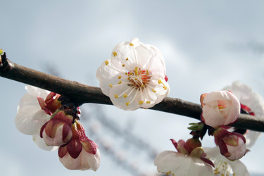 Similar image 138186