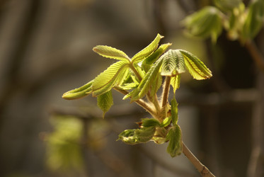 Similar image 138208