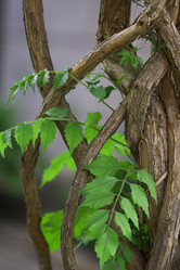 Similar image 138210