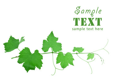 Similar image 138212