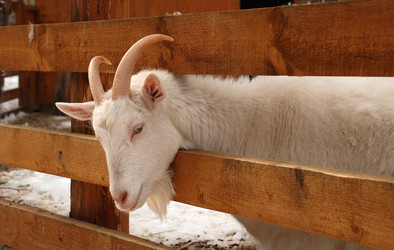 Similar image 138224