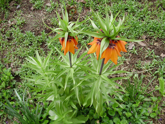 Similar image 138239