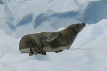 Similar image 138250