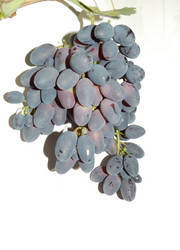 Similar image 138256