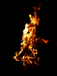 Similar image 138259