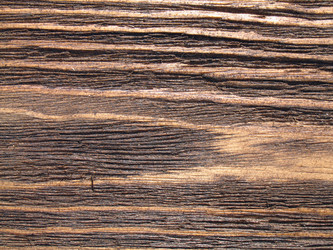 Similar image 138260