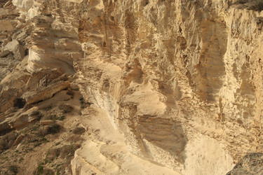 Similar image 138261