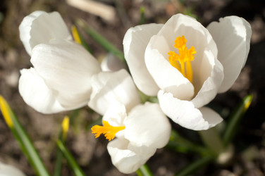 Similar image 138262