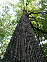 Similar image 138270