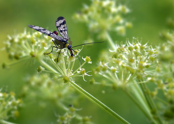 Similar image 138279