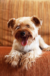 Similar image 138306